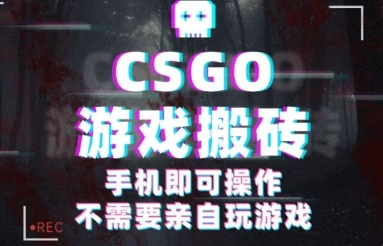 CSGO游戏挂G捡漏，单日扫货5张+，年底小高峰上车可吃肉，手机即可操作，兼职副业创业网创【揭秘】-顺彩轻创-资源网-最新项目分享网