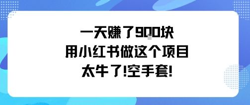 一天挣了9张用小红书做这个项目太牛了，空手套-顺彩轻创-资源网-最新项目分享网