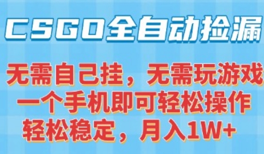 CSGO自动捡漏项目，最新独家玩法，一个手机可操作，新手小白轻松月入1W+，操作简单易上手【揭秘】-顺彩轻创-资源网-最新项目分享网