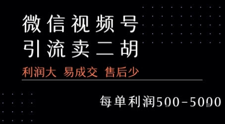视频号卖二胡教程，利润大 易成交 售后少，一单利润5张+-顺彩轻创-资源网-最新项目分享网