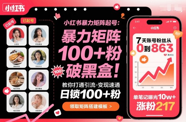 小红书暴力矩阵起号，教你打通引流-变现速通，日锁100+粉，破流量黑盒-顺彩轻创-资源网-最新项目分享网