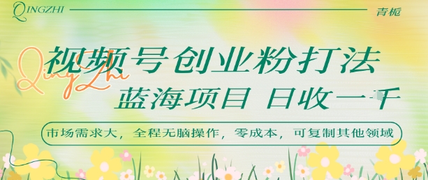 视频号创业粉打法，日入1k，蓝海项目，市场需求大，全程无脑操作，可复制-顺彩轻创-资源网-最新项目分享网