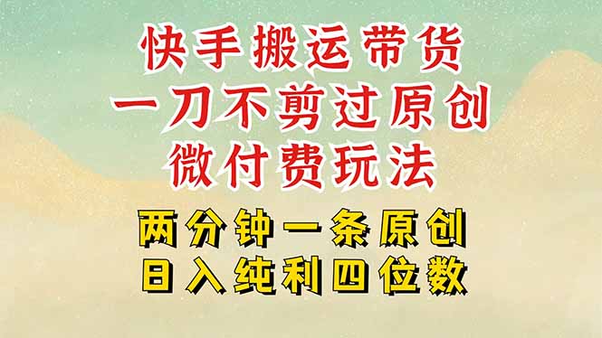 快手黑科技搬运带货，一刀不剪过原创，微付费投流玩法，轻松日入四位数…-顺彩轻创-资源网-最新项目分享网