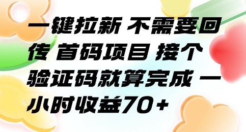一键拉新 不需要回传 首码项目 接个验证码就算完成 一小时收益70+【揭秘】-顺彩轻创-资源网-最新项目分享网