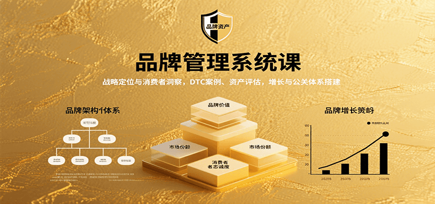 品牌管理系统课：战略定位与消费者洞察，DTC案例、资产评估，增长与公关体系搭建-顺彩轻创-资源网-最新项目分享网