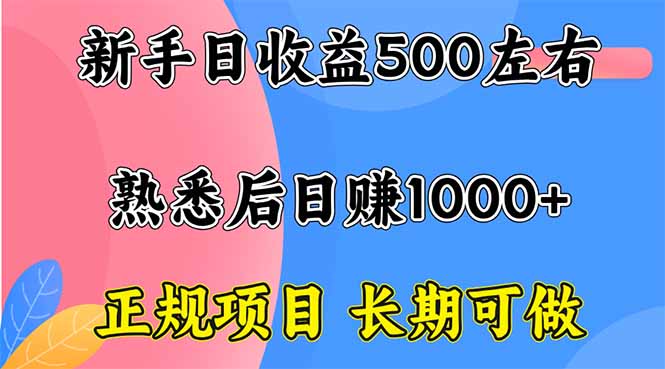 新手日收益500+ 正规项目 长期可做-顺彩轻创-资源网-最新项目分享网
