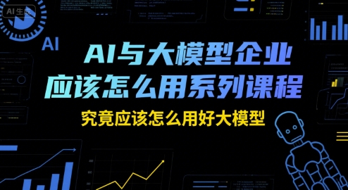 AI与大模型企业应该怎么用系列课程，究竟应该怎么用好大模型-顺彩轻创-资源网-最新项目分享网