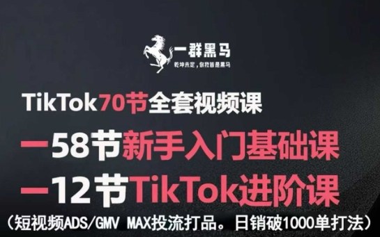 TikTok全套视频课，新手入门+进阶课，短视频ADS-GMV MAX投流打品，日销破1000单打法-顺彩轻创-资源网-最新项目分享网