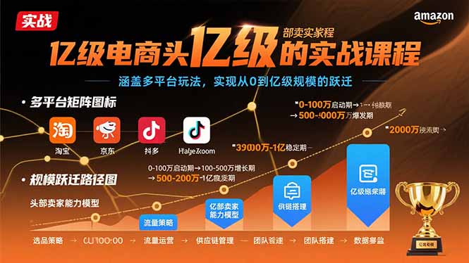 亿级电商头部卖家的实战课程：涵盖多平台玩法，实现从0到亿级规模的跃迁-顺彩轻创-资源网-最新项目分享网
