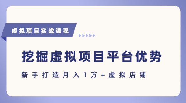 抓住虚拟项目各平台优势，新手轻松月入1W+(给出具体建议)-顺彩轻创-资源网-最新项目分享网