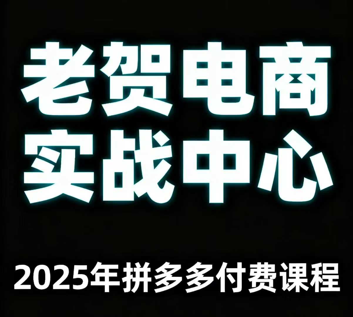 老贺电商2025年拼多多付费课程，用通俗易懂的方法告诉你多多怎么玩-顺彩轻创-资源网-最新项目分享网
