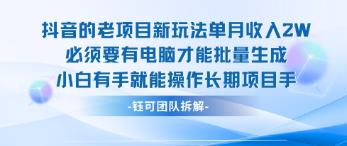 老项目新玩法单月收入2W小白有手就能操作长期项目-顺彩轻创-资源网-最新项目分享网