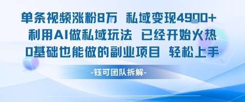 单条视频私域变现4.9k+利用AI做私域玩法 已经开始火热0基础也能做的副业项目轻松上手-顺彩轻创-资源网-最新项目分享网