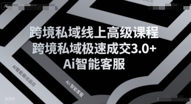 跨境私域线上高级课程，跨境私域极速成交3.0+Ai智能客服-顺彩轻创-资源网-最新项目分享网