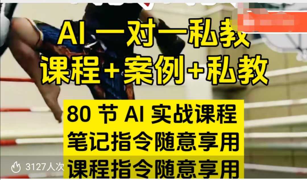 AI指令实战课，课程+案例，80节AI实战课程，笔记指令随意享用，课程指令随意享用(更新7月)-顺彩轻创-资源网-最新项目分享网