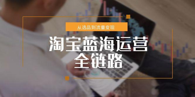 淘宝蓝海运营全链路，从选品到流量变现，小类目突围完整方案-顺彩轻创-资源网-最新项目分享网