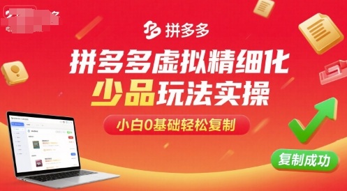 拼多多虚拟精细化少品玩法实操，小白0基础轻松复制-顺彩轻创-资源网-最新项目分享网