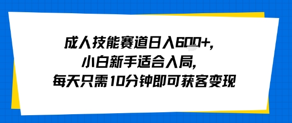 成人技能赛道日入多张，小白新手适合入局，每天只需10分钟即可获客变现-顺彩轻创-资源网-最新项目分享网
