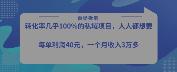 转化率最高的私域项目，每单利润40-50米，月入过1w-顺彩轻创-资源网-最新项目分享网