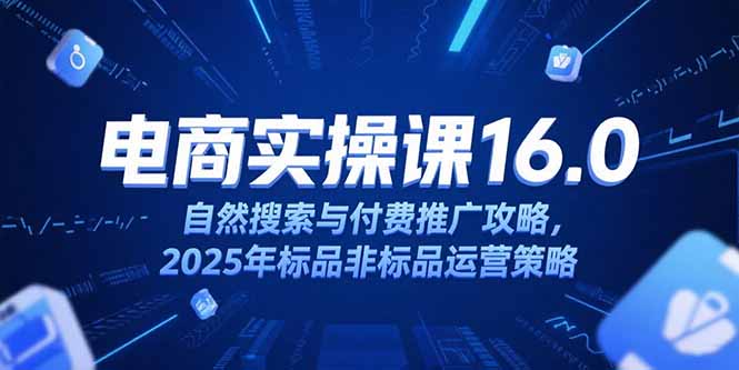 淘宝电商运营课16.0，自然搜索与付费推广攻略，2025年标品非标品运营策略-顺彩轻创-资源网-最新项目分享网