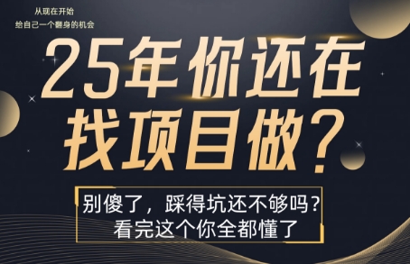 25年，你还在疯狂的找项目吗？别傻了，看完这个你都懂了【揭秘】-顺彩轻创-资源网-最新项目分享网