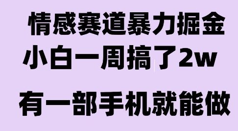 情感暴力掘金项目，新人操作一周挣了2W，长期稳定小白可做【揭秘】-顺彩轻创-资源网-最新项目分享网