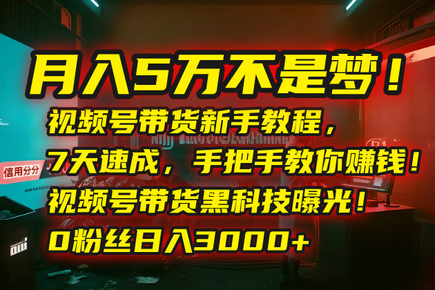 月入5万不是梦！视频号带货新手教程，7天速成，手把手教你赚钱！视频号…-顺彩轻创-资源网-最新项目分享网