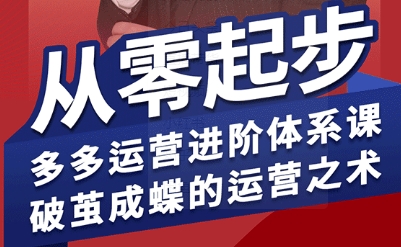 拼多多运营进阶系统课，从零起步，多多运营进阶体系课，破茧成蝶的运营之术(更新9月)-顺彩轻创-资源网-最新项目分享网