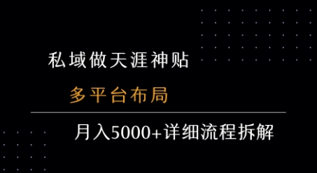 私域做天涯神贴 多平台布局 月入5k+详细流程拆解-顺彩轻创-资源网-最新项目分享网