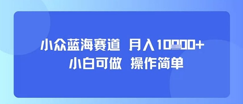 小众蓝海赛道，小白可做，操作简单，每天30分钟，月入1W+-顺彩轻创-资源网-最新项目分享网