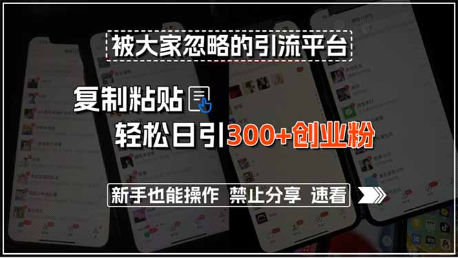 被大家忽略的引流平台，复制粘贴轻松日引300+创业粉，新手也能操作，禁…-顺彩轻创-资源网-最新项目分享网