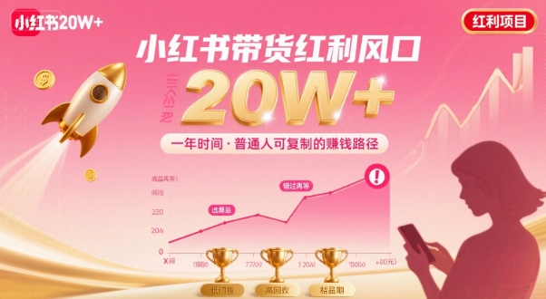 一年时间靠小红书带货项目年入20w+，最不能错的大红利项目-顺彩轻创-资源网-最新项目分享网