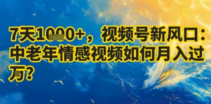 7天收益1k+，视频号新风口：中老年情感视频如何月入过W?-顺彩轻创-资源网-最新项目分享网