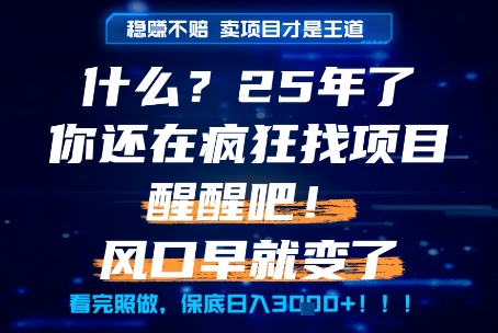 什么？25年你还在疯狂找项目做，醒醒吧，看完这些你全都懂了！【揭秘】-顺彩轻创-资源网-最新项目分享网