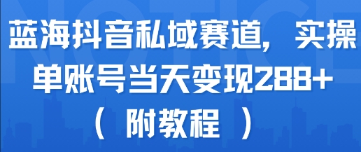 蓝海抖音私域赛道，实操单账号当天变现288+(附教程)-顺彩轻创-资源网-最新项目分享网