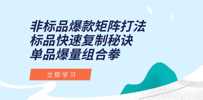非标品爆款矩阵打法，标品快速复制秘诀，单品爆量组合拳-顺彩轻创-资源网-最新项目分享网