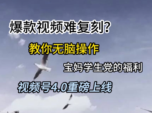 视频号4.0重磅上线，爆款视频难复刻？教你无脑操作宝妈学生党的福利【揭秘】-顺彩轻创-资源网-最新项目分享网