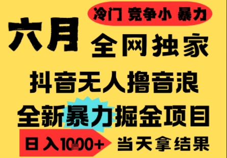 25年6月高爆抖音无人直播最新撸音浪掘金项目，小白可做，无脑日入1k+，门槛低可批量矩阵【揭秘】-顺彩轻创-资源网-最新项目分享网