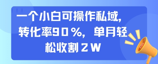 一个小白可操作私域，转化率90%，单月轻松收割2W-顺彩轻创-资源网-最新项目分享网