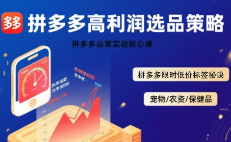 拼多多选品暴利技术实战课，拼多多高利润选品策略，拼多多限时低价标签秘诀-顺彩轻创-资源网-最新项目分享网