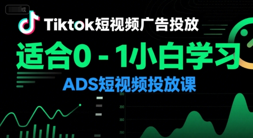 Tiktok短视频广告投放，适合0-1小白学习ADS短视频投放课-顺彩轻创-资源网-最新项目分享网