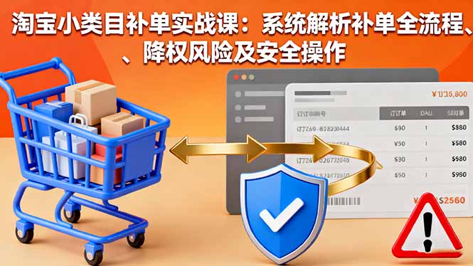 淘宝小类目补单实战课：系统解析补单全流程、降权风险及安全操作-顺彩轻创-资源网-最新项目分享网