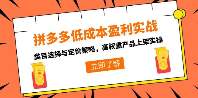 拼多多低成本盈利实战，类目选择与定价策略，高权重产品上架实操-顺彩轻创-资源网-最新项目分享网