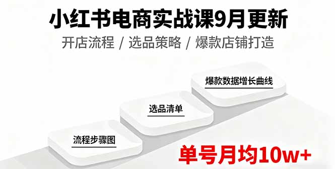 小红书电商实战课9月更新，开店流程/选品策略/爆款店铺打造，单号月均10w+-顺彩轻创-资源网-最新项目分享网