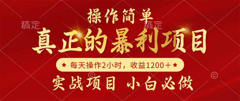 真正的暴利项目，操作简单，每天收益1200＋，自己做老板-顺彩轻创-资源网-最新项目分享网