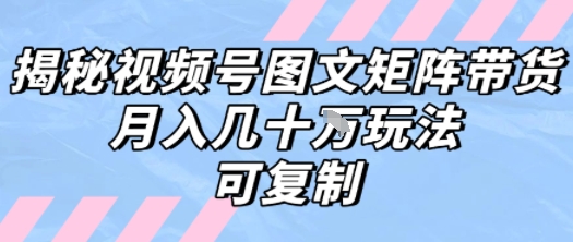 解密视频号图文矩阵带货，月入几个W的打法，可复制-顺彩轻创-资源网-最新项目分享网