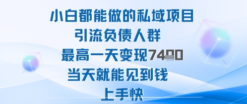 2025年小白都能做的私域项目引流负债人群最高一天变现1k+高变现难度低当天就能见到钱上手快-顺彩轻创-资源网-最新项目分享网