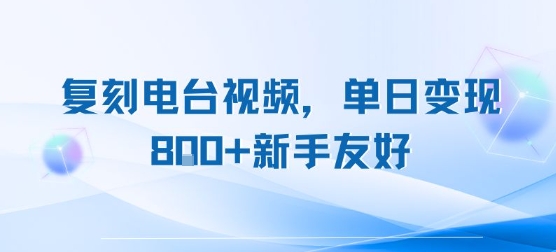 复刻电台视频，单日变现8张+新手友好，长期可做-顺彩轻创-资源网-最新项目分享网