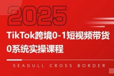 TikTok跨境0-1短视频带货，系统拆解TikTok跨境带货全链路，实现跨境可持续盈利-顺彩轻创-资源网-最新项目分享网