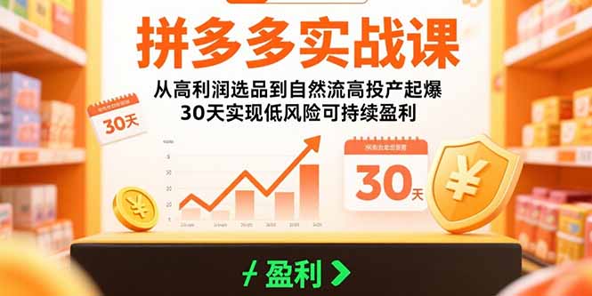 拼多多实战课：从高利润选品到自然流高投产起爆 30天实现低风险可持续盈利-顺彩轻创-资源网-最新项目分享网